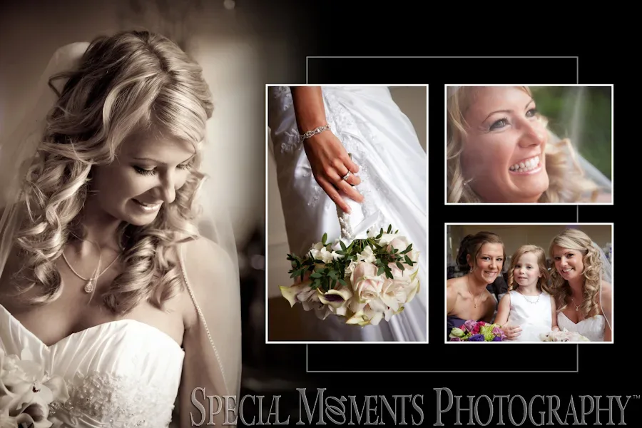 Eagle Eye Golf Club Bath or East Lansing wedding