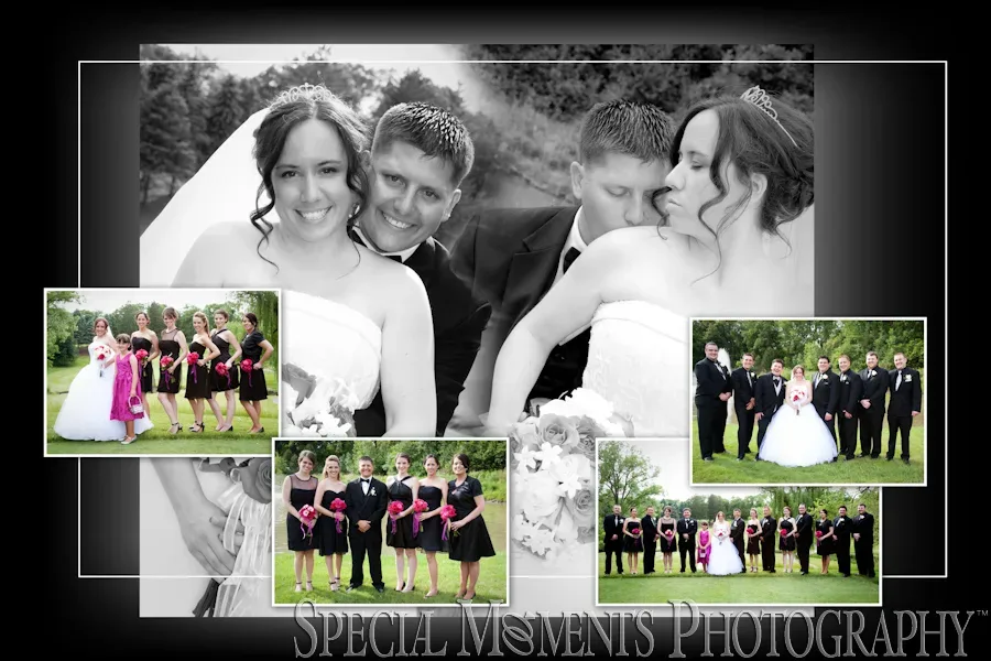 Plum Hollow Golf Club Southfield MI wedding reception
