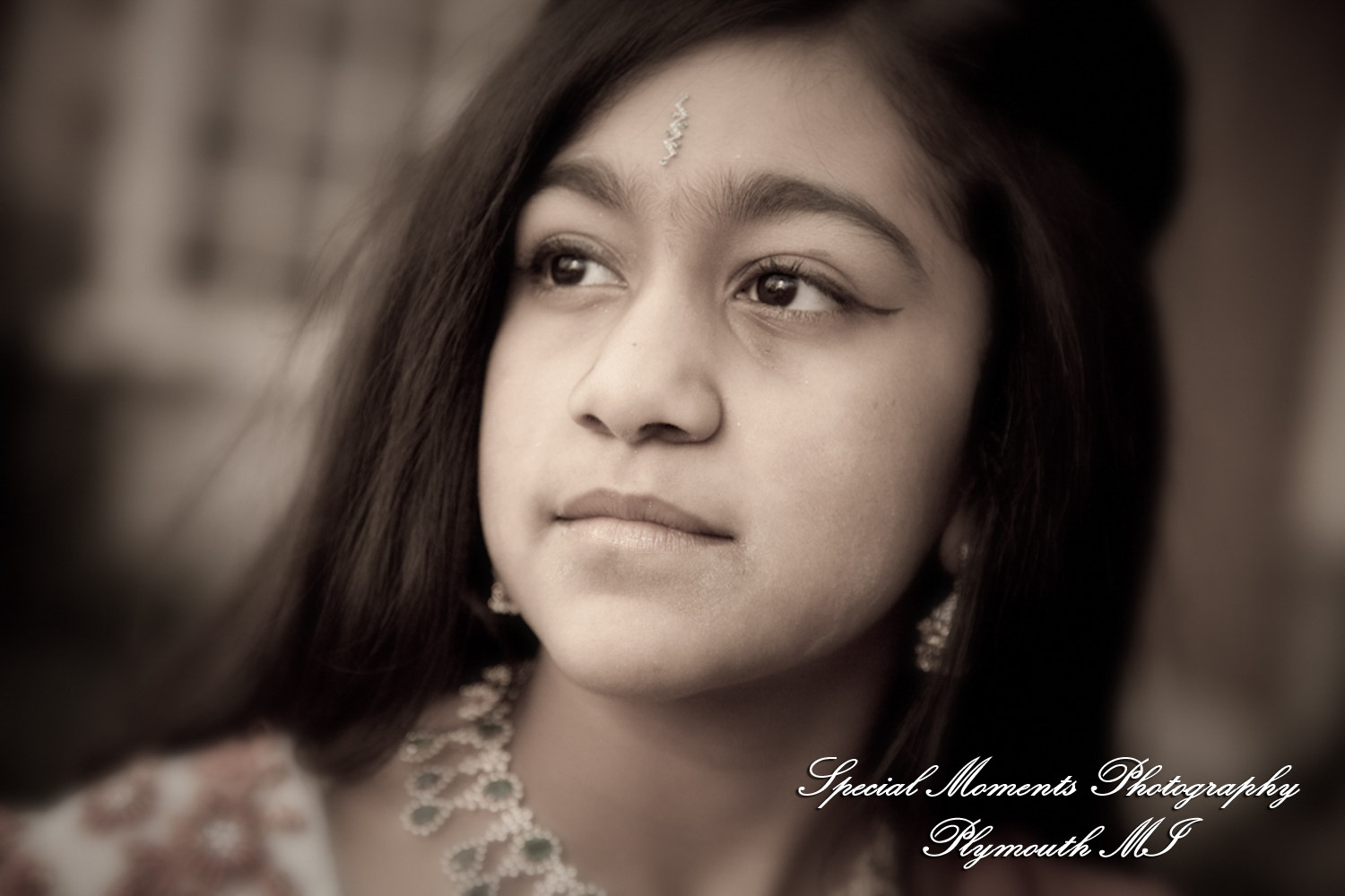 Ritu Kala Samskara Ceremony at The Henry Ford Museum Dearborn MI family photography
