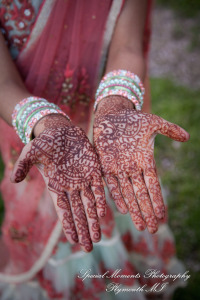 Ritu Kala Samskara Ceremony at The Henry Ford Museum Dearborn MI family photography