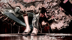 Ritu Kala Samskara Ceremony at The Henry Ford Museum Dearborn MI family photography