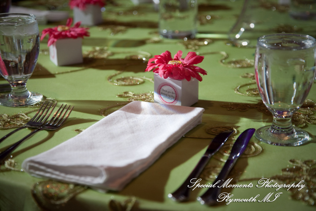 Ritu Kala Samskara Ceremony at The Henry Ford Museum Dearborn MI family photography