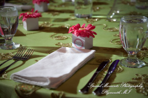 Ritu Kala Samskara Ceremony at The Henry Ford Museum Dearborn MI family photography