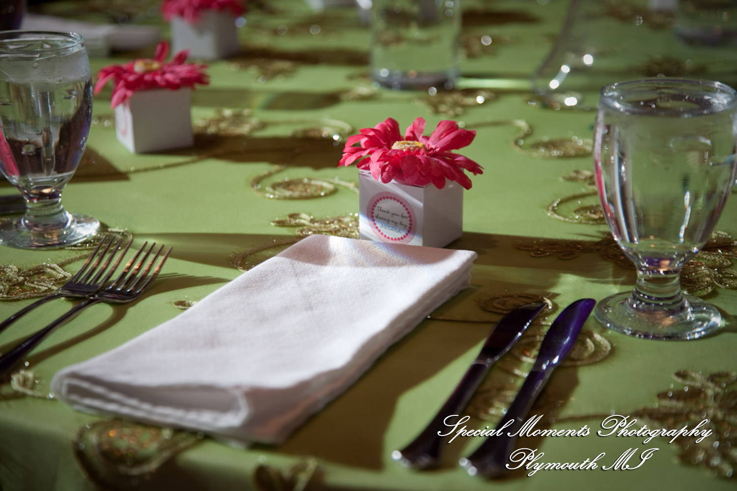 Ritu Kala Samskara Ceremony at The Henry Ford Museum Dearborn MI family photography