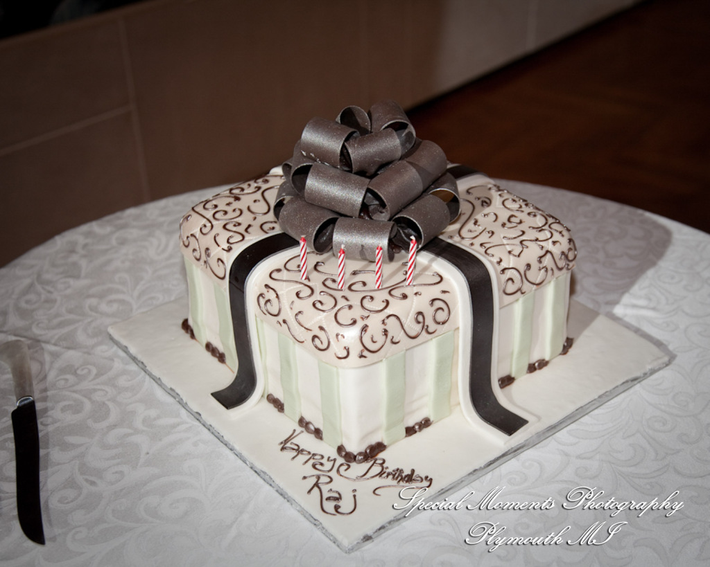 Ritu Kala Samskara Ceremony at The Henry Ford Museum Dearborn MI family photography