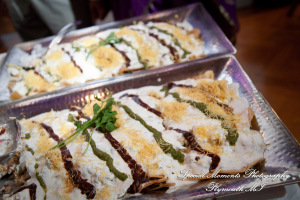 Ritu Kala Samskara Ceremony at The Henry Ford Museum Dearborn MI family photography