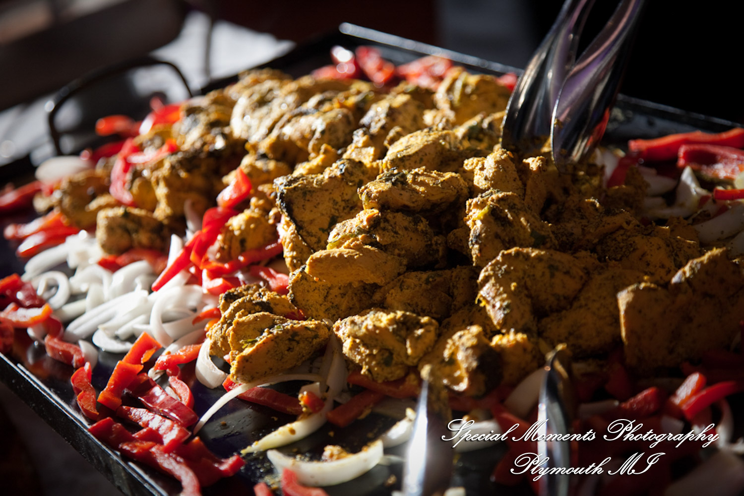 Ritu Kala Samskara Ceremony at The Henry Ford Museum Dearborn MI family photography