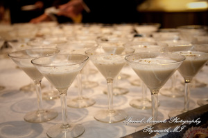 Ritu Kala Samskara Ceremony at The Henry Ford Museum Dearborn MI family photography