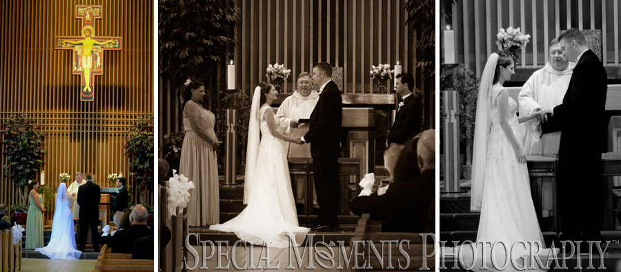 St. Francis of Assisi - Ann Arbor MI wedding