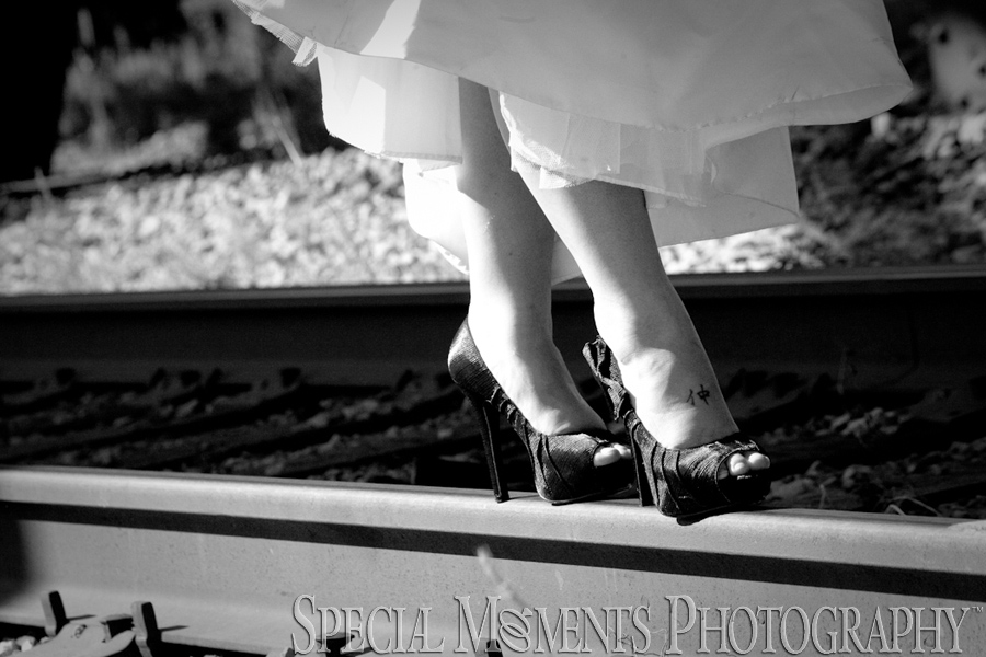 Trash The Wedding Dress Detroit MI