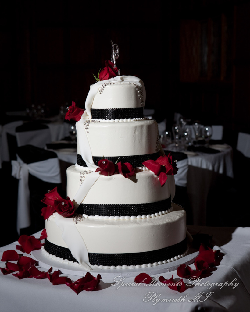 Emily & Shane at Dearborn Country Club Dearborn MI wedding photography