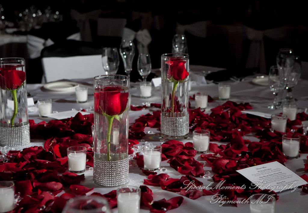 Emily & Shane at Dearborn Country Club Dearborn MI wedding photography