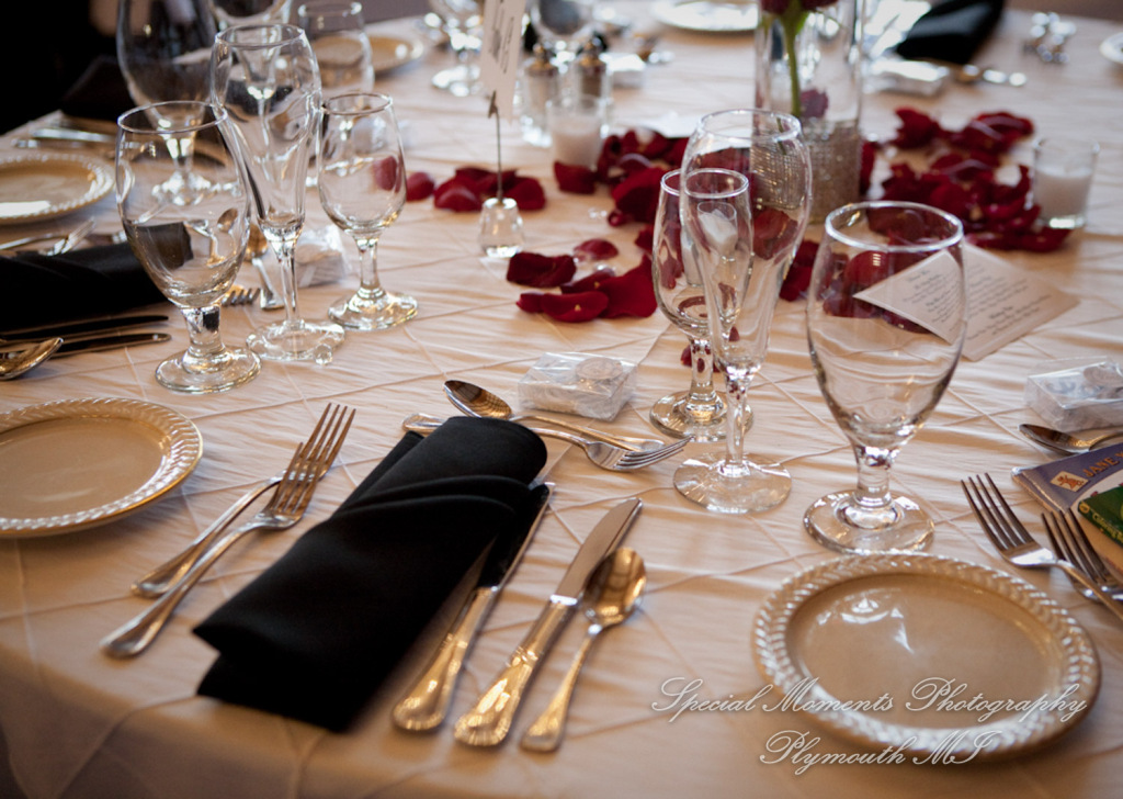 Emily & Shane at Dearborn Country Club Dearborn MI wedding photography