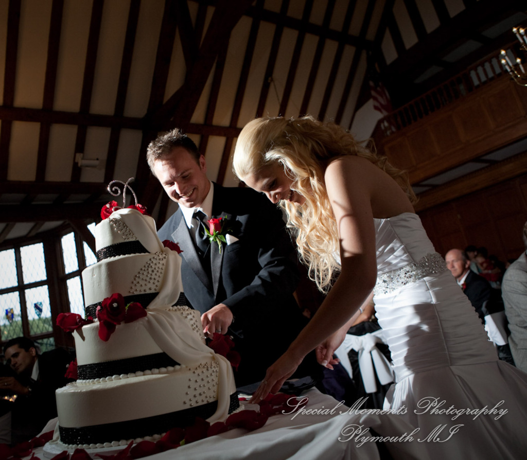 Emily & Shane at Dearborn Country Club Dearborn MI wedding photography