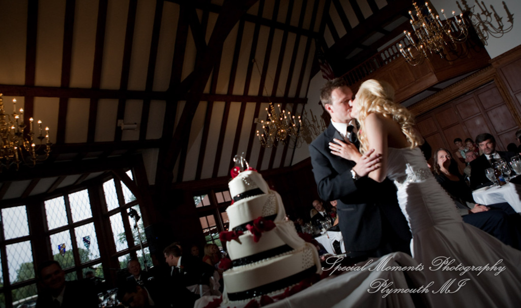 Emily & Shane at Dearborn Country Club Dearborn MI wedding photography