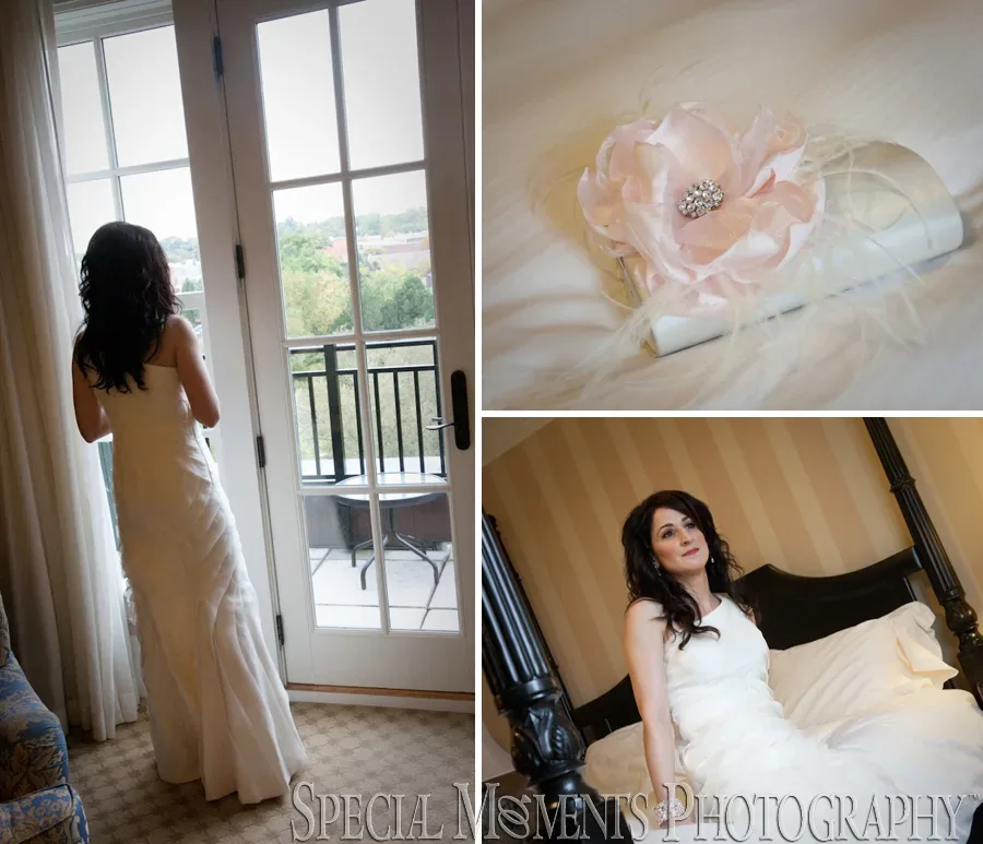 Royal Park Hotel Rochester MI wedding photograph