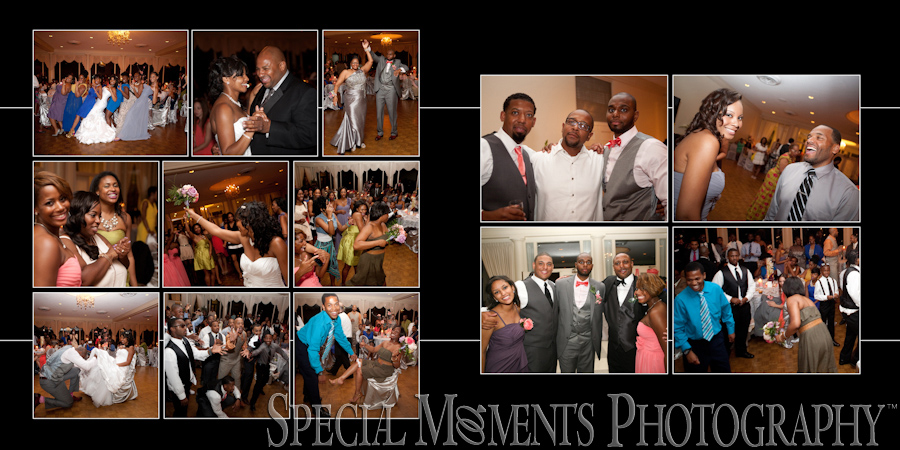 Grosse Pointe War Memorial Grosse Pointe Farms MI wedding reception photograph
