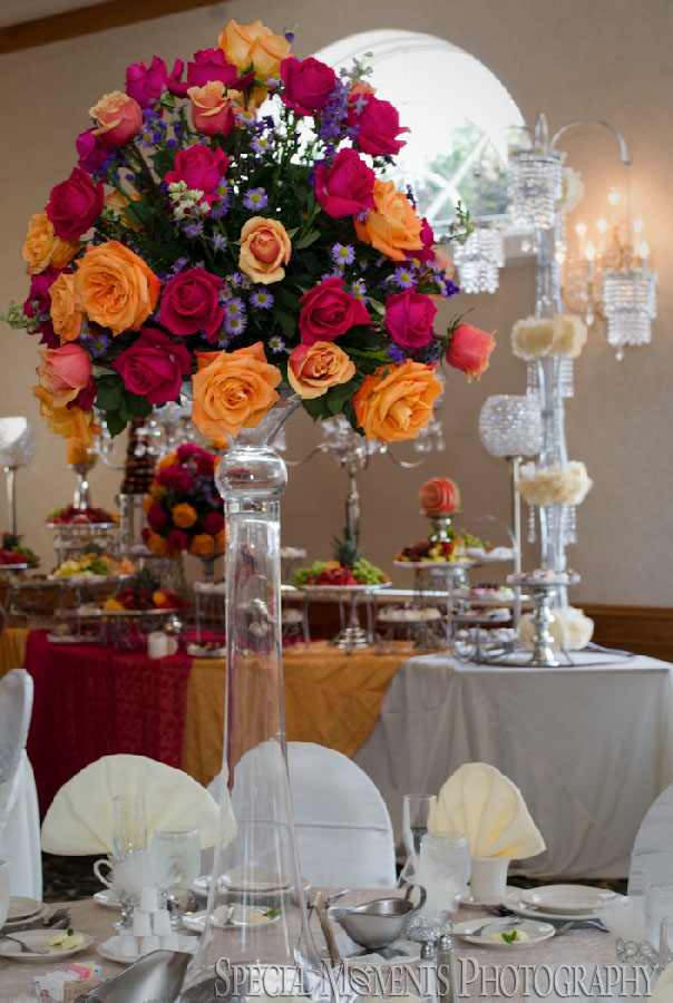 Italian American Club Livonia MI wedding photograph