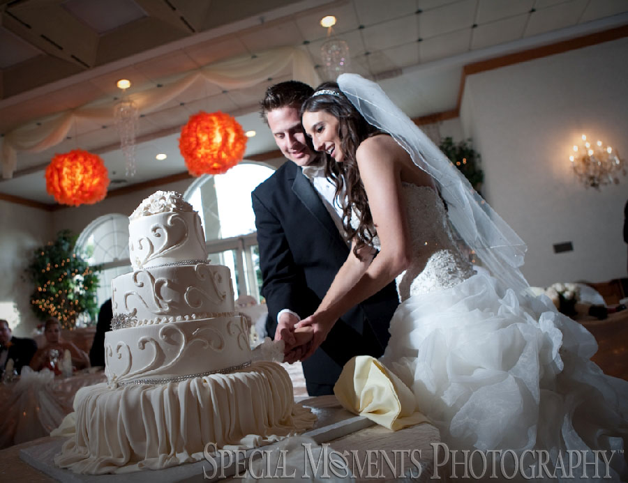 Italian American Club Livonia MI wedding photograph