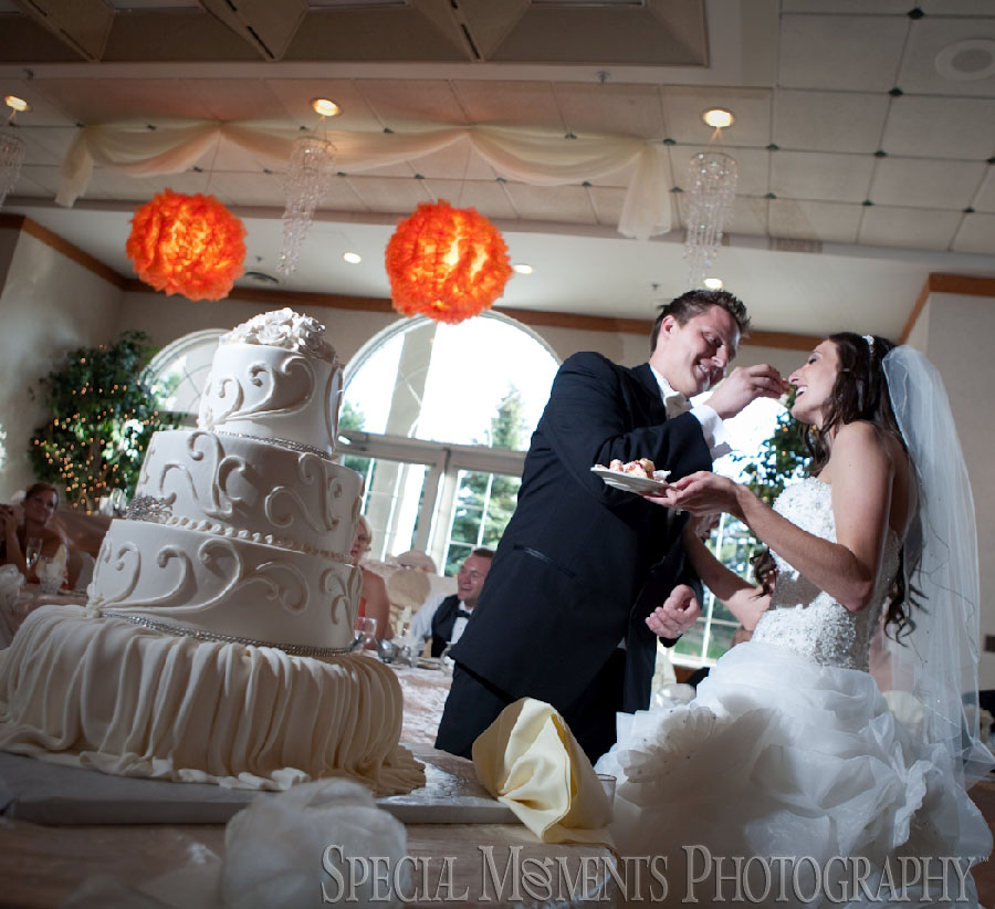 Italian American Club Livonia MI wedding photograph