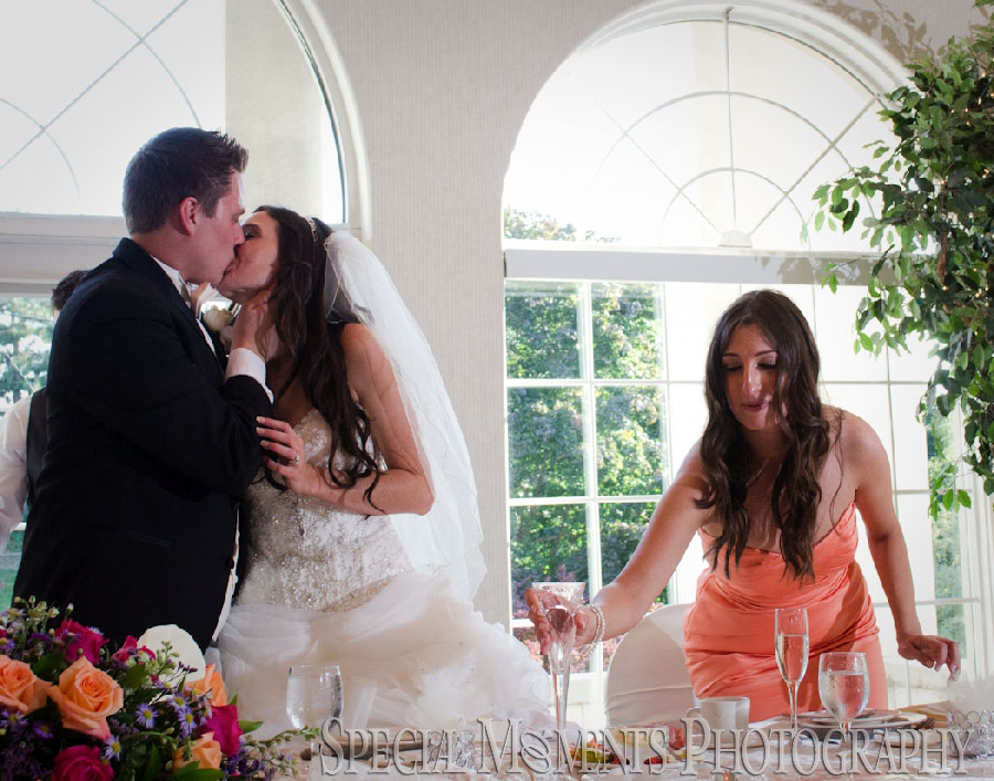 Italian American Club Livonia MI wedding photograph
