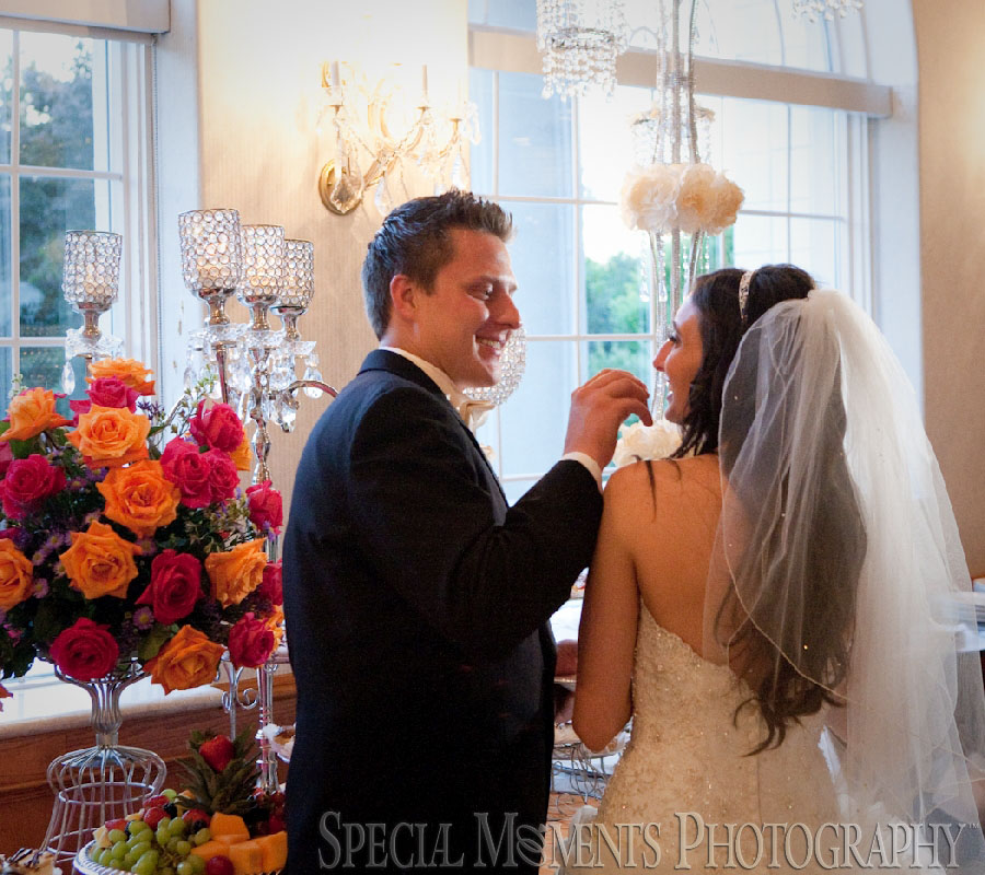 Italian American Club Livonia MI wedding photograph