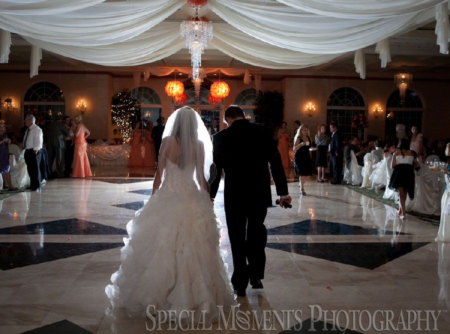 Italian American Club Livonia MI wedding photograph