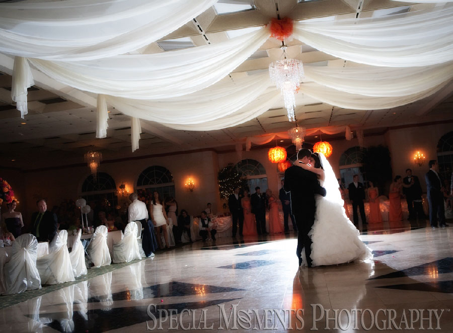 Italian American Club Livonia MI wedding photograph