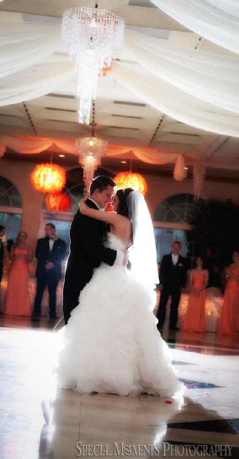 Italian American Club Livonia MI wedding photograph