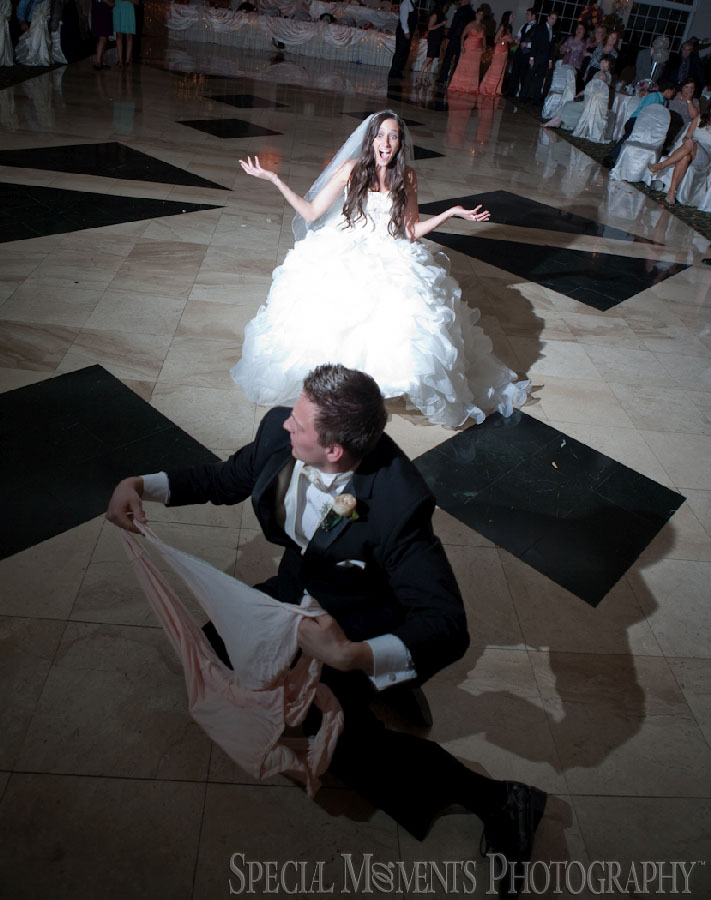 Italian American Club Livonia MI wedding photograph