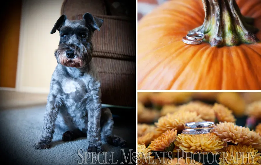 Mill Race Village Northville MI wedding photograph