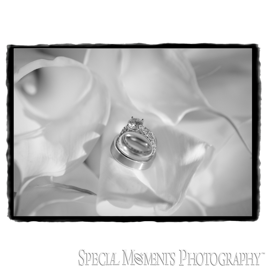 St. John Catholic Fenton MI wedding photograph