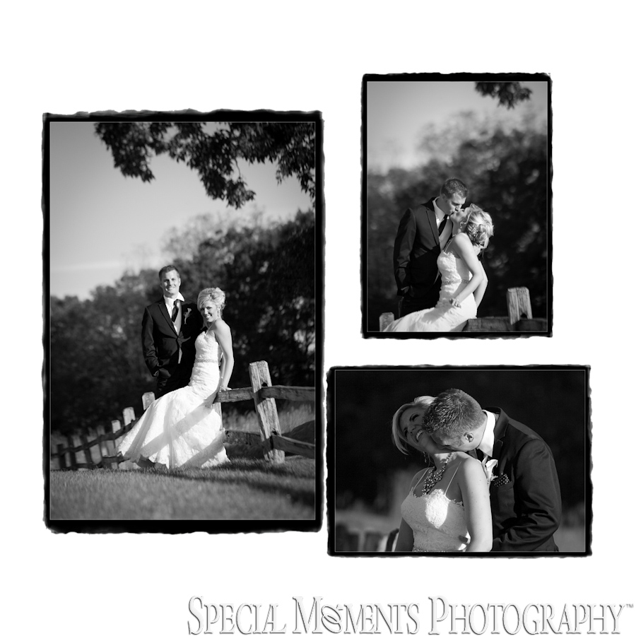Morgan & Patrick Lyon Oaks Wixom MI wedding photograph