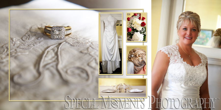 Stone Arch Saline MI wedding photograph