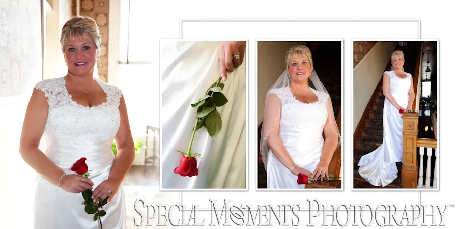 Stone Arch Saline MI wedding photograph