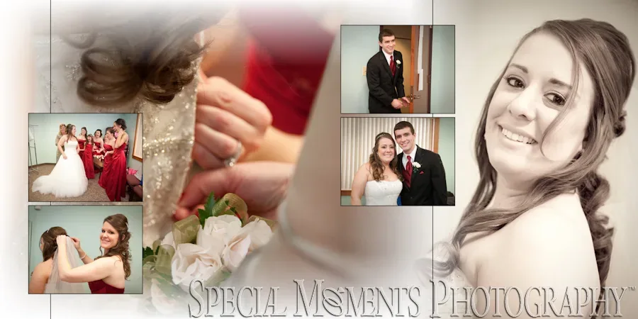 St. Thomas A-Becket Canton MI wedding photograph