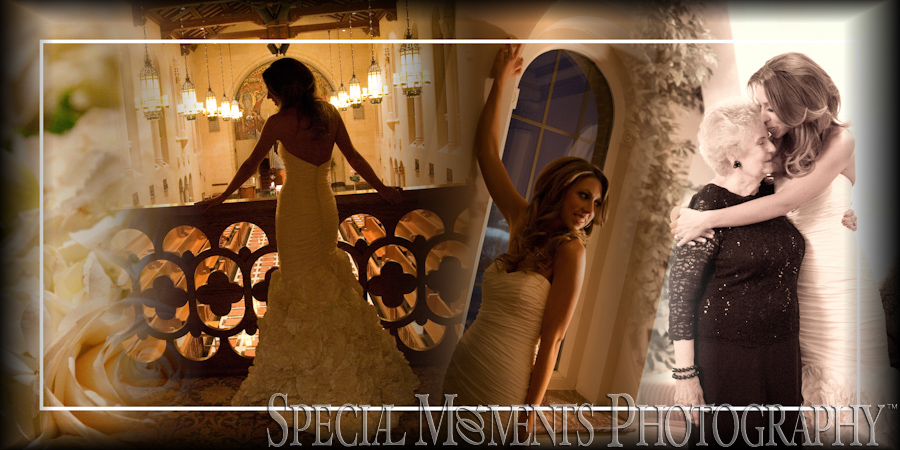 Inn at St. John's Atrium Ballroom Plymouth MI wedding photograph