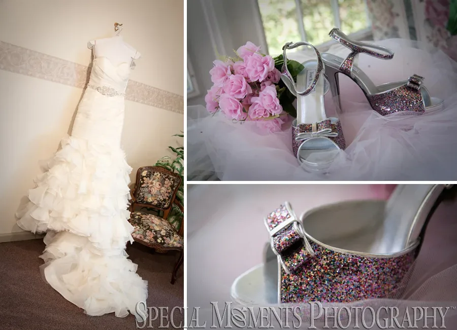 Pine Knob Mansion Clarkston MI wedding photograph