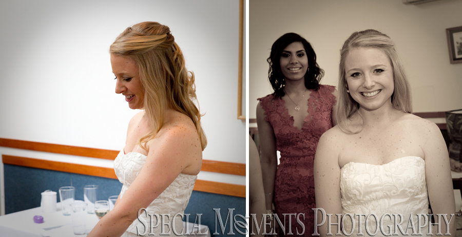 Stonebridge Golf Club Ann Arbor MI wedding photograph