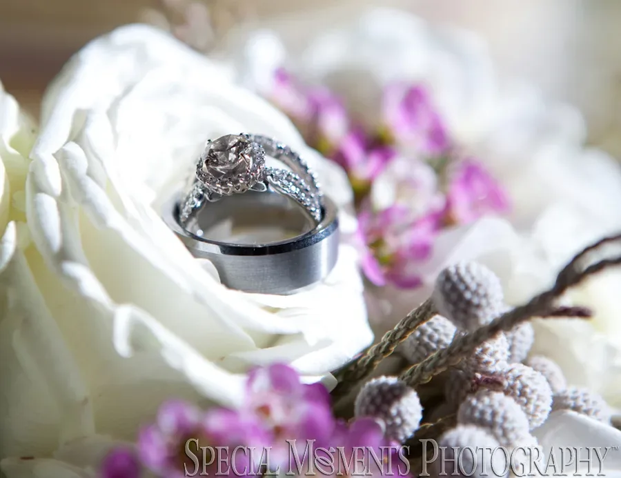Inn At St. John Galilee Ballroom Plymouth MI wedding photograph