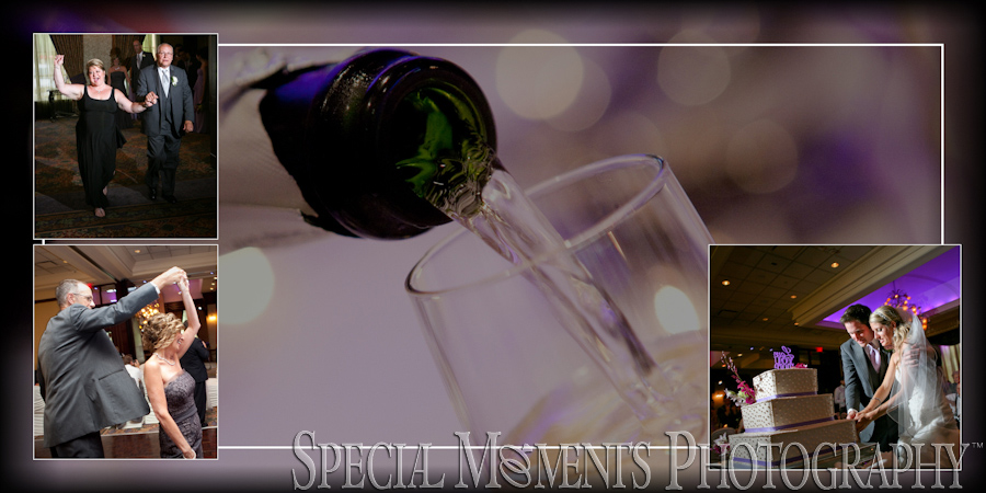 The Reserve Birmingham MI wedding photograph