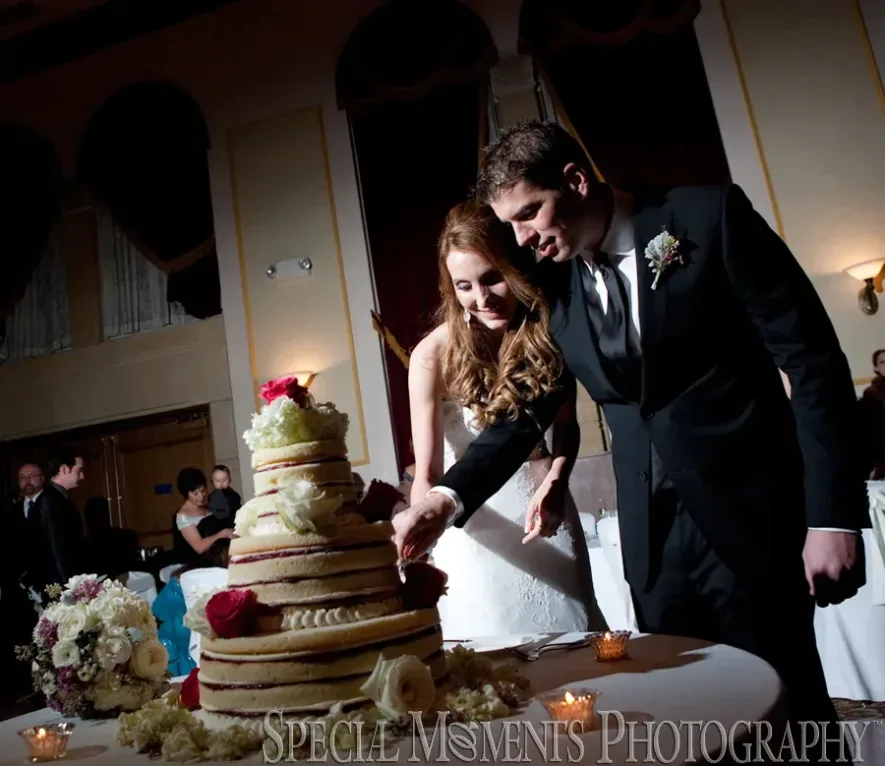 Inn At St. John Plymouth MI wedding photograph