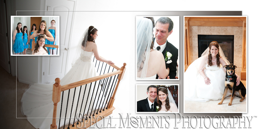 Crystal Gardens Howell MI wedding photograph