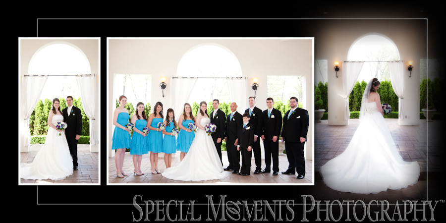 Crystal Gardens Howell MI wedding photograph