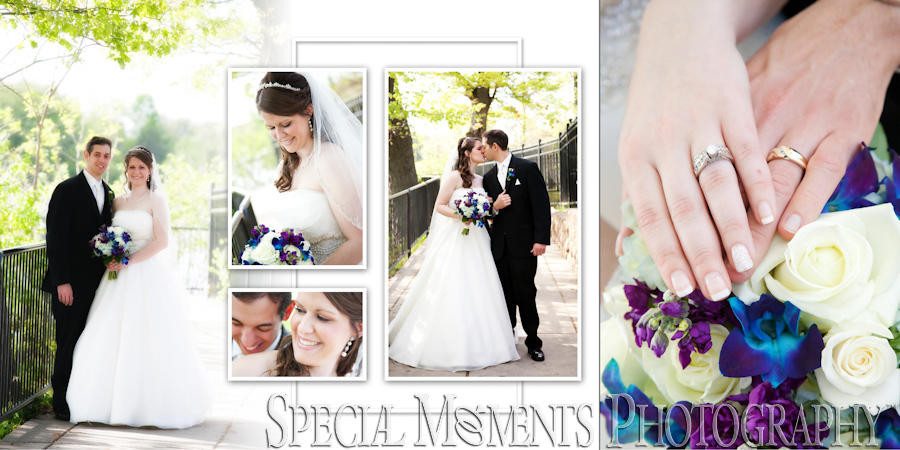Crystal Gardens Howell MI wedding photograph