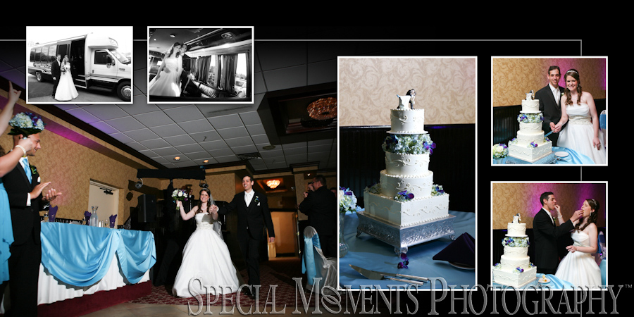 Crystal Gardens Howell MI wedding photograph