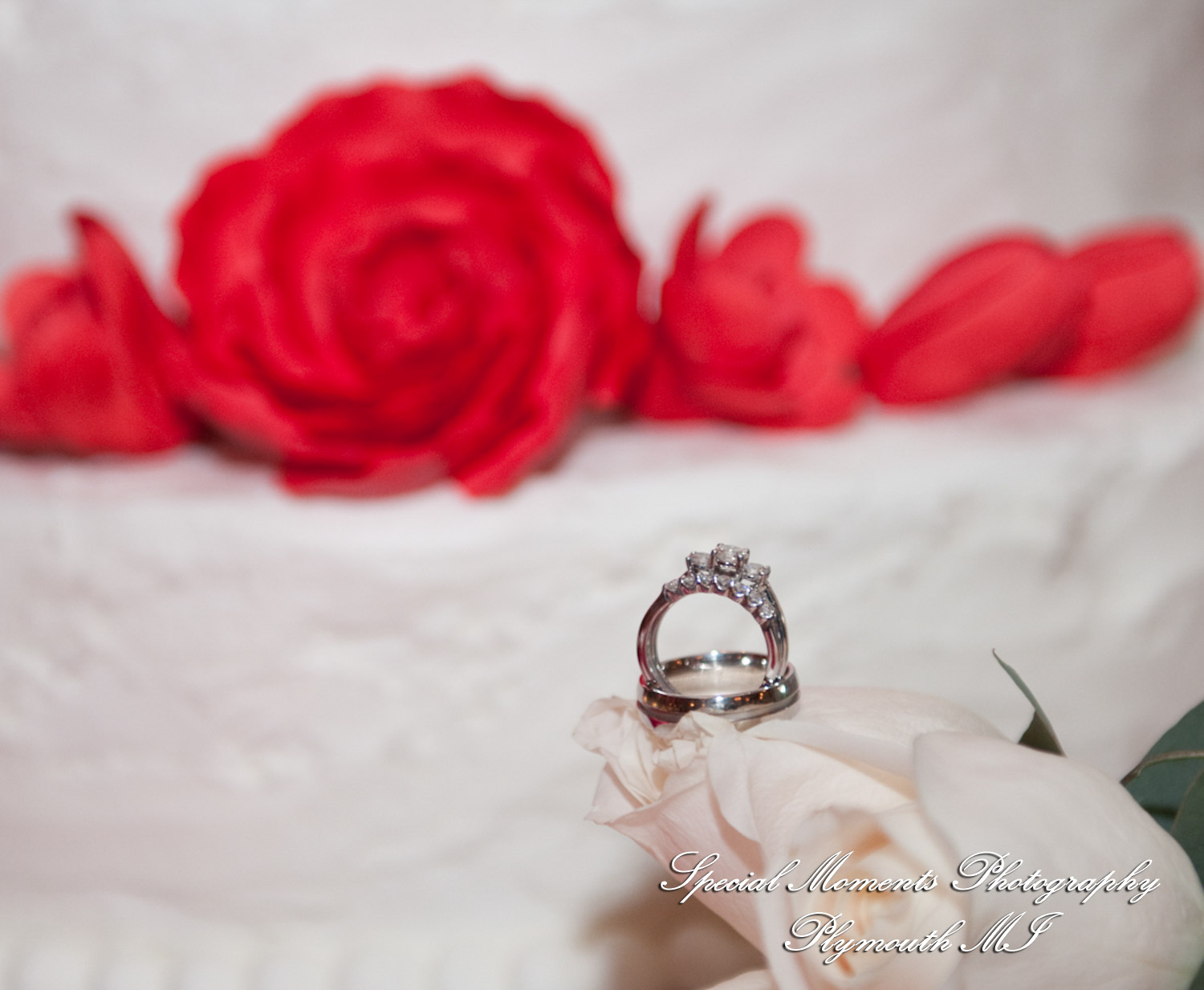 Shannan & Eric at FMeeting House Grand Ballroom Plymouth MI wedding photography
