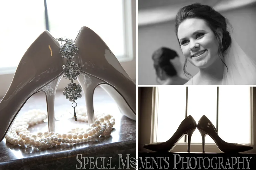 Inn at St. Johns Grande Ballroom Plymouth MI wedding photograph
