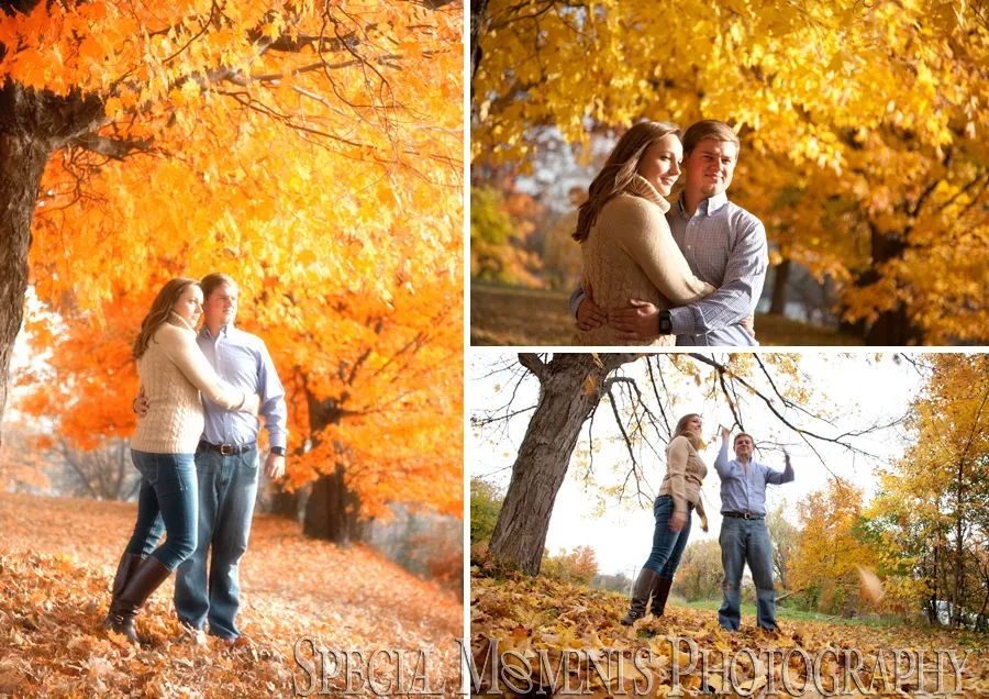 Wilcox Lake Plymouth MI engagement wedding photograph