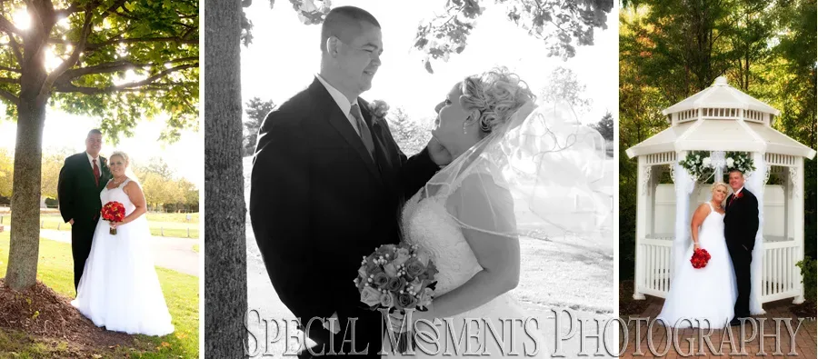 Woodlands Golf Course Wayne MI wedding photograph